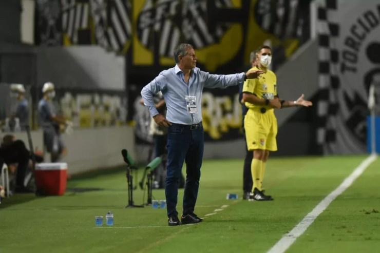 Ariel Holan em ação contra o Botafogo — Foto: Ivan Storti/Santos FC