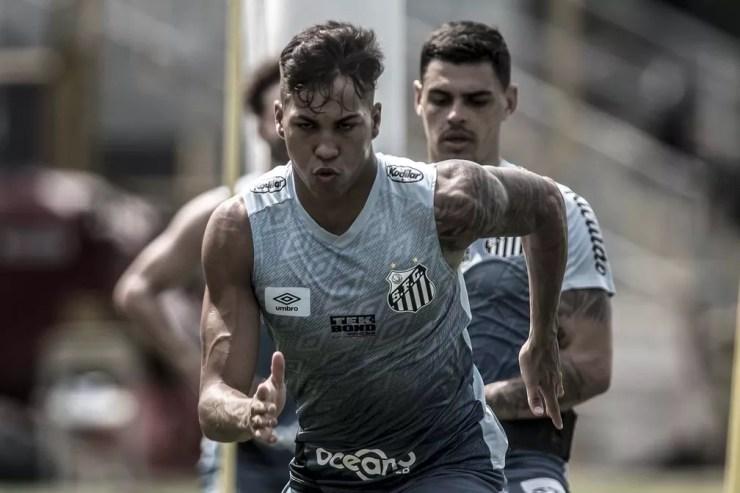 Kaio Jorge está recuperado de lesão e já treina com elenco no Santos — Foto: Ivan Storti/Santos FC