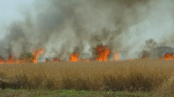 Incêndio foi na região norte de Rio Preto  (Foto: Reprodução/TV TEM)