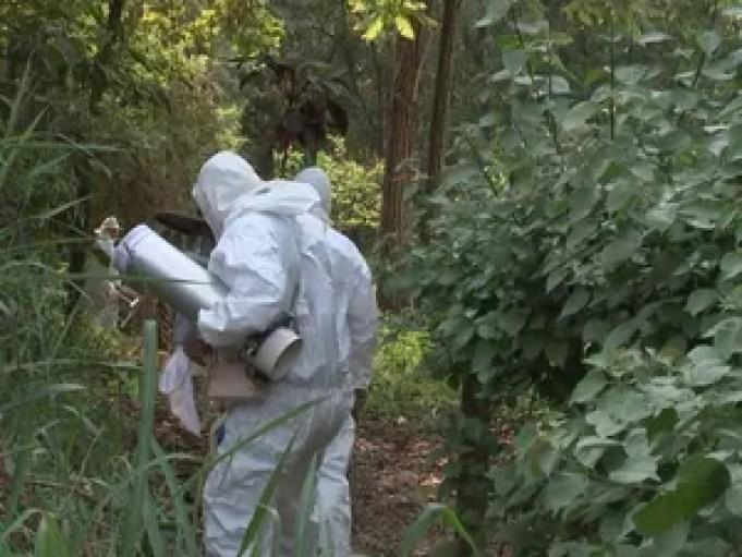 Agentes procuram por mosquitos na mata em Potirendaba (Foto: Reprodução/TV TEM)