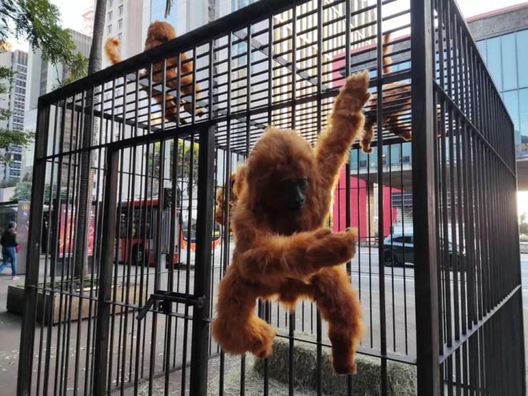 Artista instala gaiolas na Av. Paulista para alertar sobre a crueldade com animais — Foto: Anselmo Caparica/TV Globo