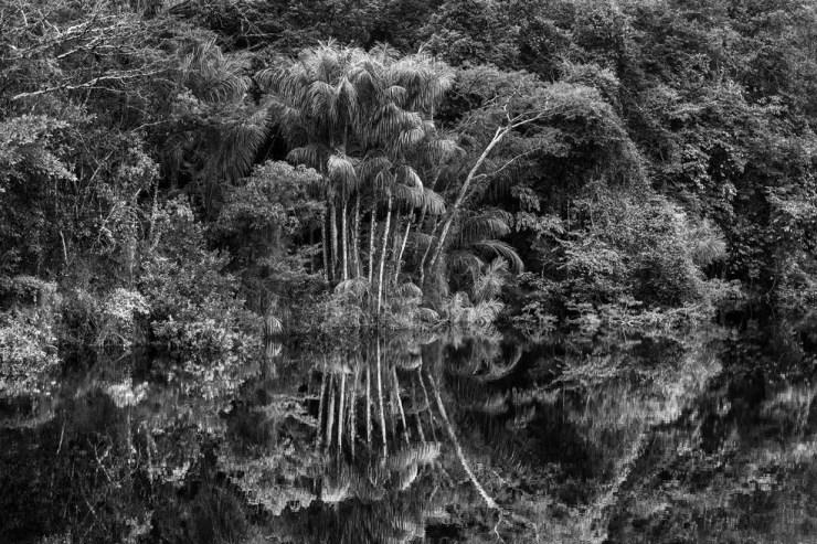 Rio Jaú, no Amazonas — Foto: Sebastião Salgado