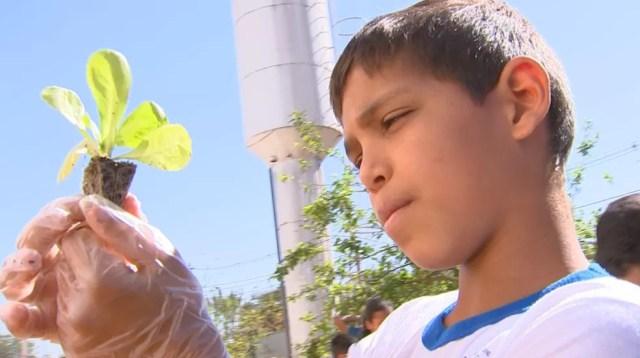 Aluno afirma que aprendeu a plantar e colher com horta em escola de Rio Preto (Foto: Reprodução/TV TEM)