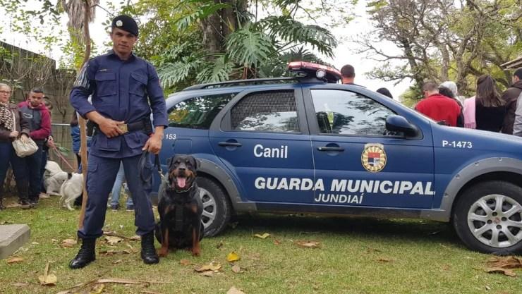 Quatro cães do canil da Guarda Municipal de Jundiaí se apresentaram no Estimacão neste domingo (26) (Foto: Moniele Nogueira/TV TEM)