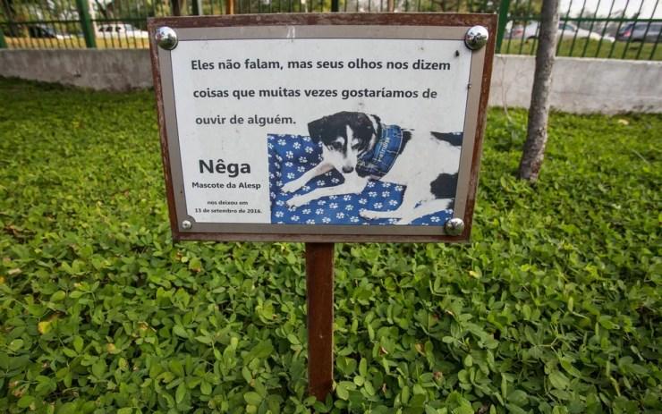 Local onde Nega, primeira cachorrinha da Alesp, foi enterrada  (Foto: Fabio Tito/G1)