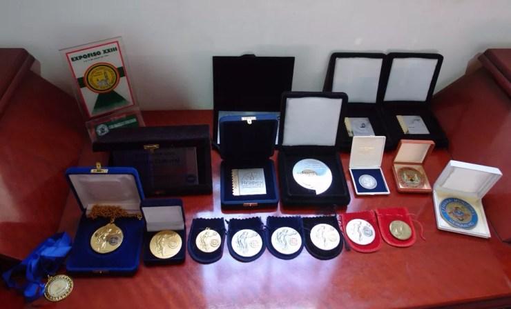 Fotógrafo coleciona medalhas adquiridas durantes os campeonatos de filatelismo no Brasil e no mundo  (Foto: Silvio Rosa Santos Martins/Arquivo Pessoal)