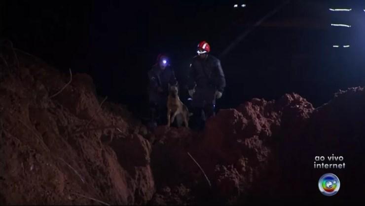 Nenhum sinal de vítima sob os escombros foi identificado pelos cães em São Roque  (Foto: Reprodução/TV TEM)