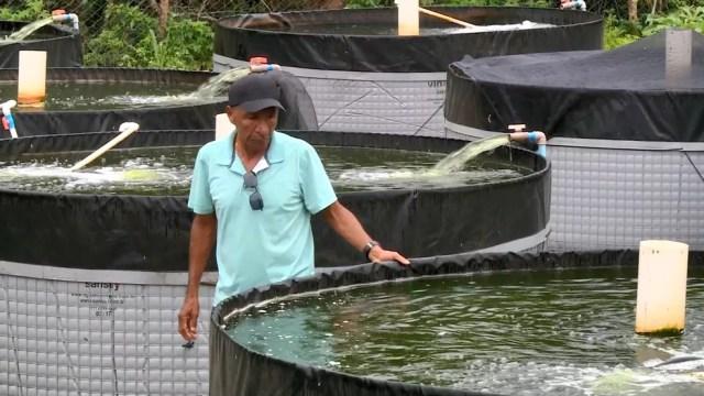 Leoni passou a criar peixes em tanques no Espírito Santo — Foto: Reprodução/ TV Gazeta