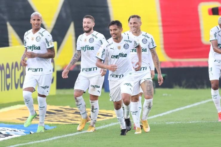 Sport x Palmeiras  — Foto: Aldo Carneiro (Pernambuco Press)