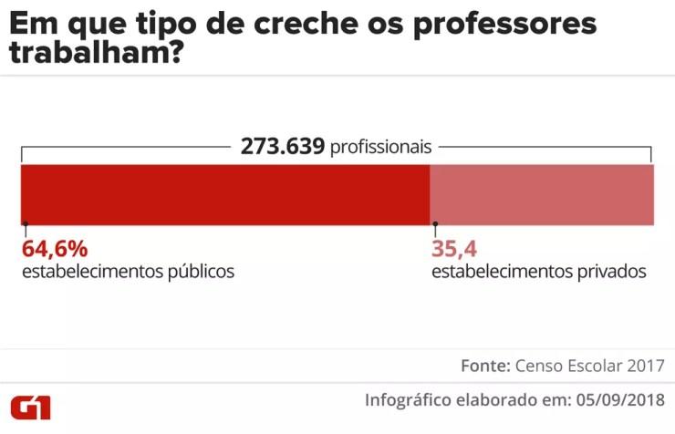 Professores trabalharam, na maioria dos casos, em estabelecimentos públicos.  — Foto: Infográfico: Juliane Monteiro/G1