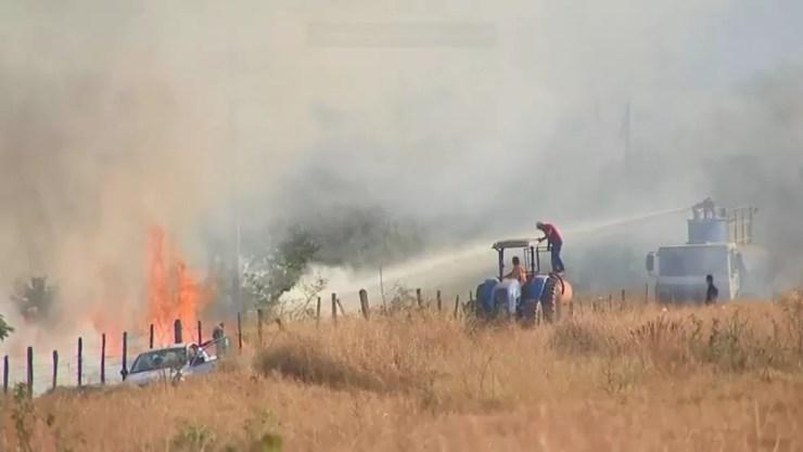 Voluntários tentam apagar as chamas na área verde em Rio Preto (Foto: Reprodução/TV TEM)
