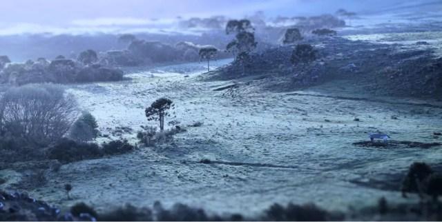 Vale do Caminhos da Neve, em São Joaquim, amanheceu com geada. — Foto: Mycchel Legnaghi