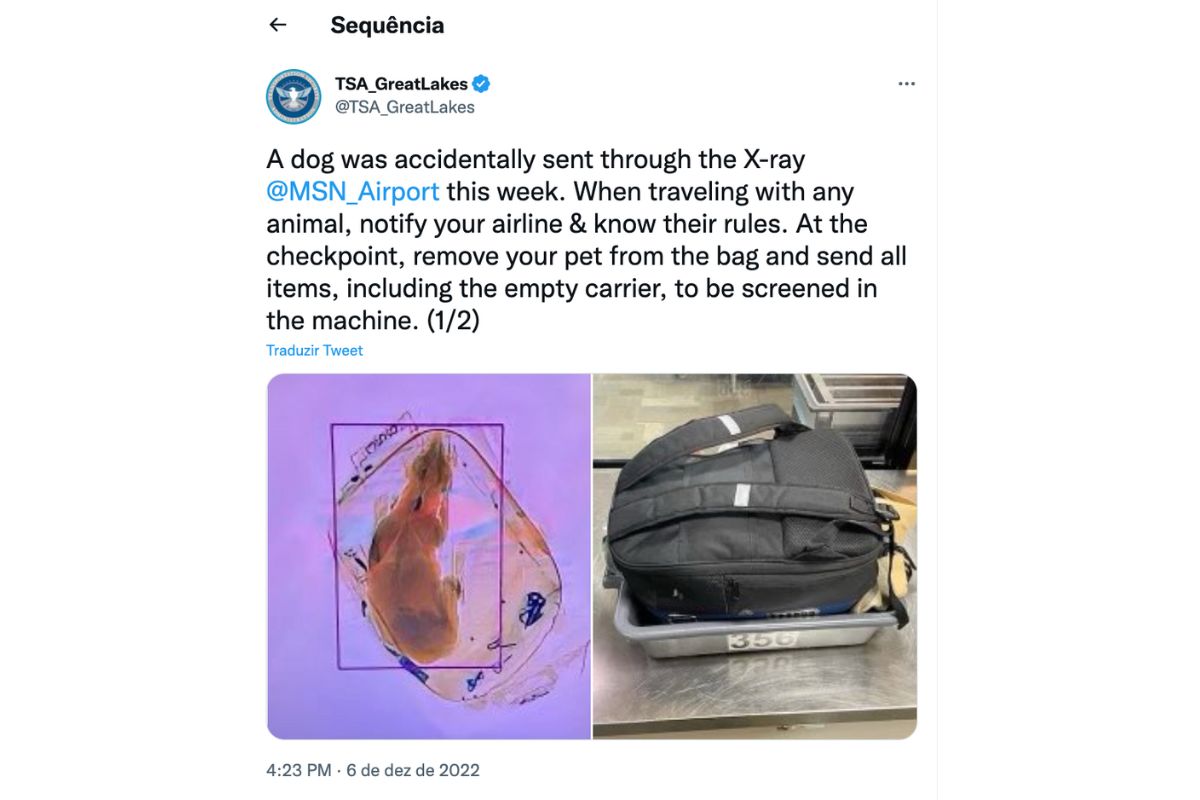 print-tweet-cachorro-bagagem