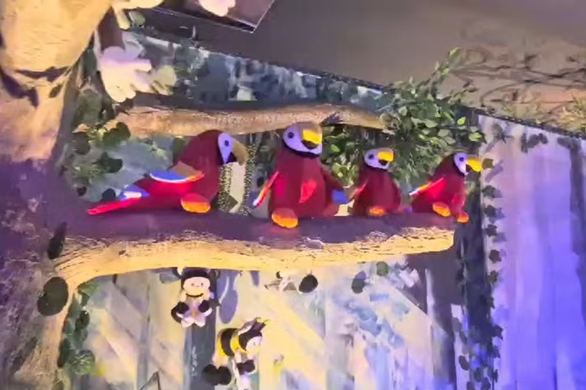 Tabatinga inaugura o primeiro zoológico de bichos de pelúcia do Brasil