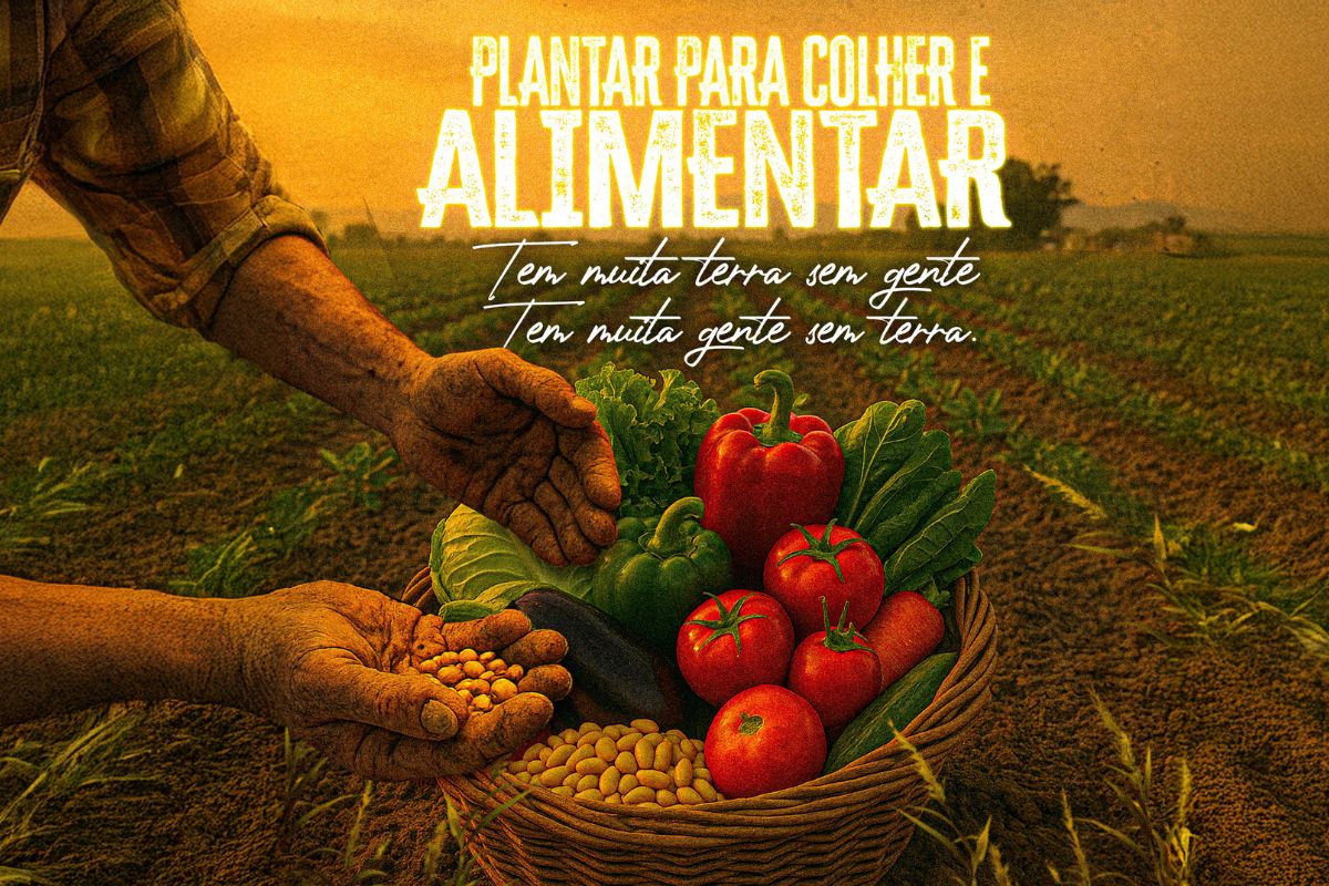A Acadêmicos do Tatuapé traz um enredo que homenageia o MST e destaca a importância da produção agrícola e sustentabilidade